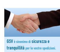 GSV: il partner per le vostre spedizioni nazionali