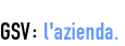 GSV Grandi Spedizioni Veloci